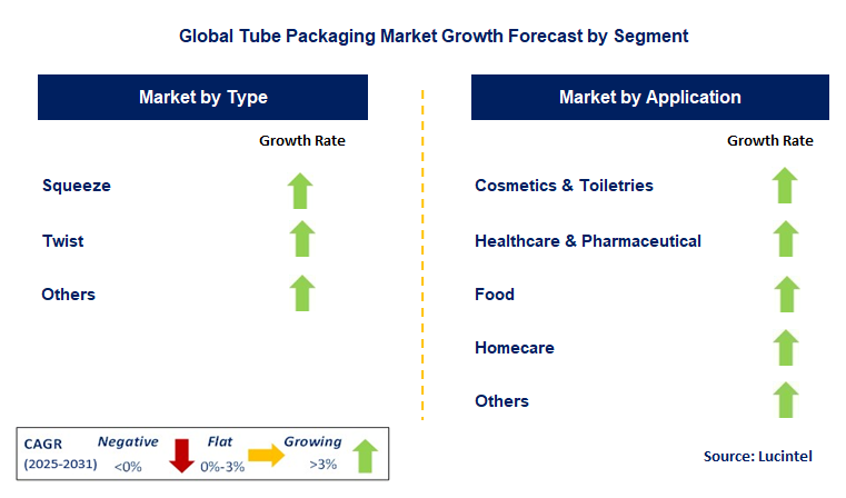 Tube Packaging Market by Segment