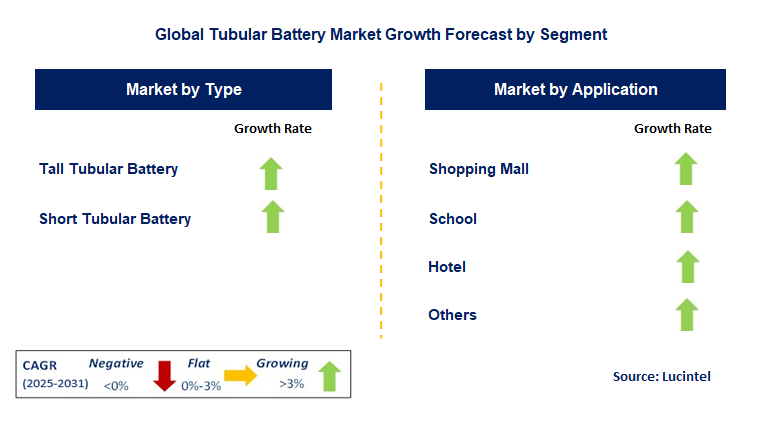 Tubular Battery Market by Segment