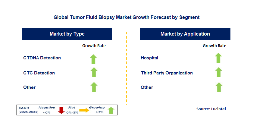 Tumor Fluid Biopsy Market by Segment