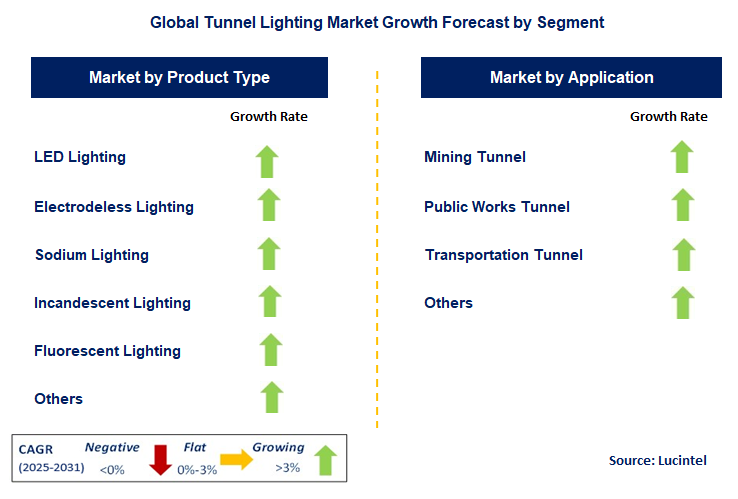 Tunnel Lighting Market by Segment