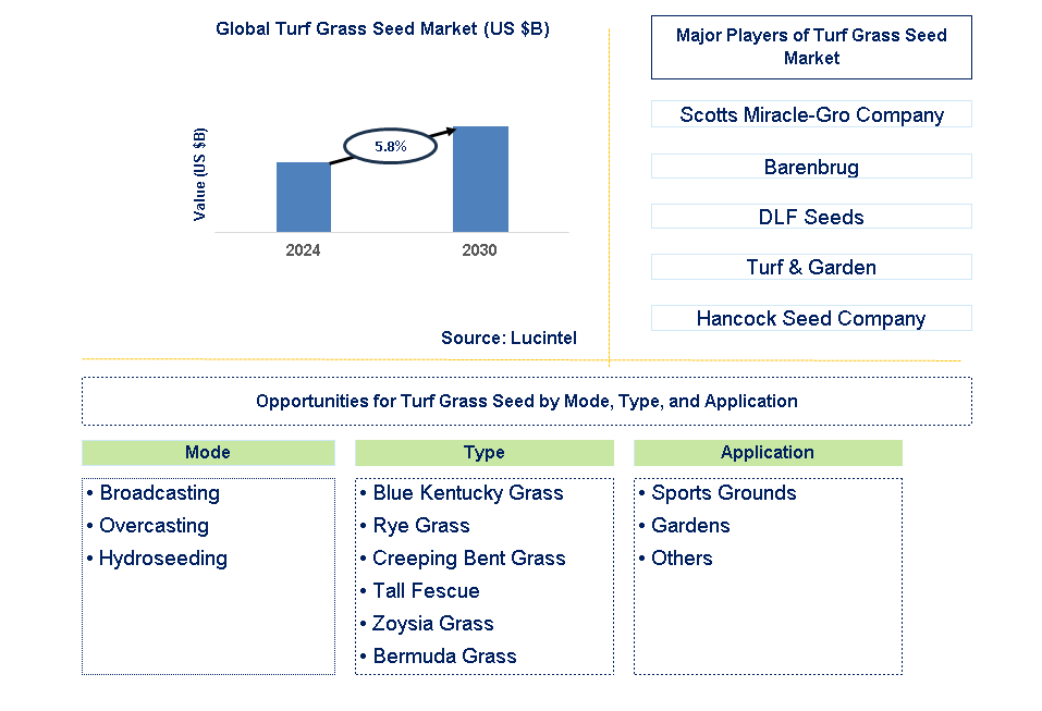 Turf Grass Seed Trends and Forecast