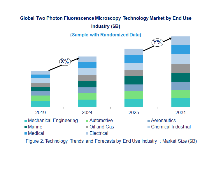 Two Photon Fluorescence Microscopy Market by Application 