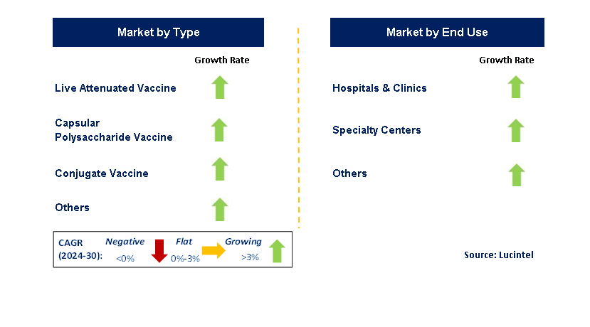 Typhoid Fever Vaccine by Segment