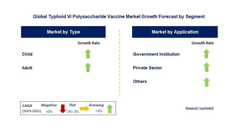 Typhoid Vi Polysaccharide Vaccine Market by Segment