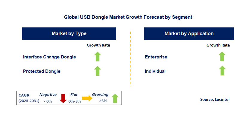 USB Dongle Market by Segment