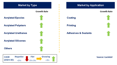 UV Curable Resin Market Segments