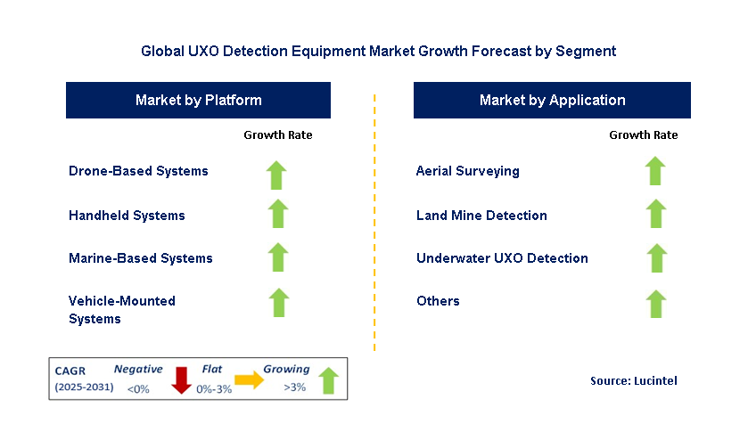 UXO Detection Equipment Market by Segment