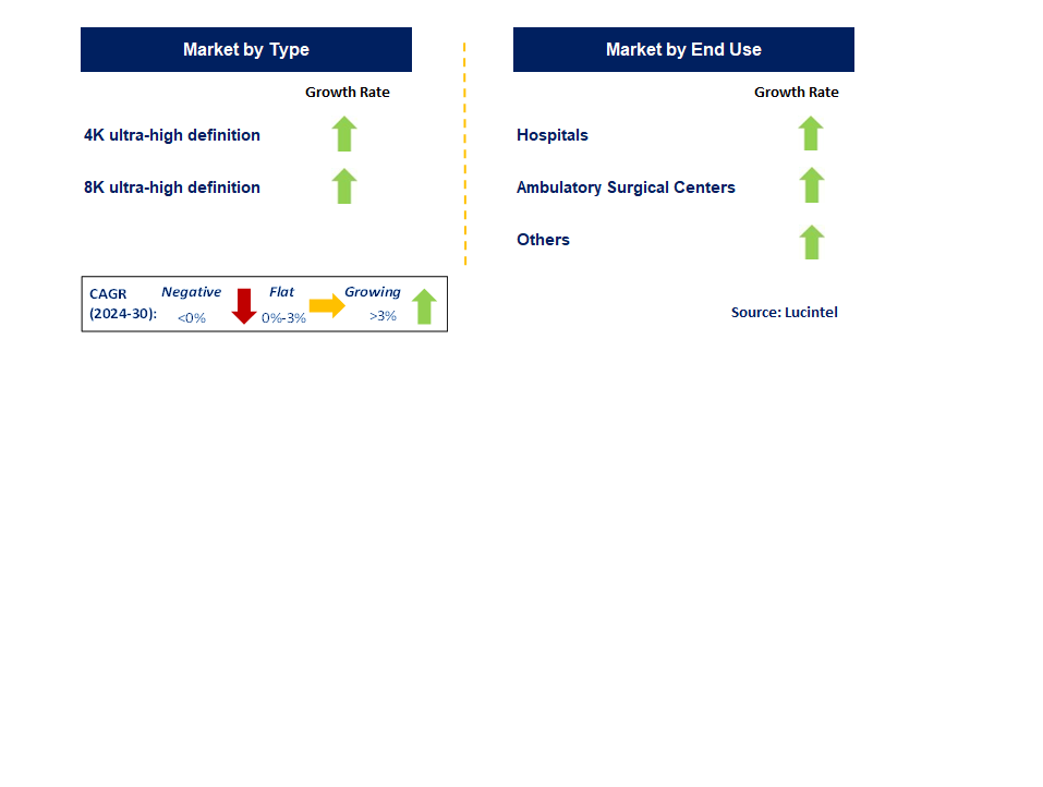 Ultra High Definition Endoscopy by Segment