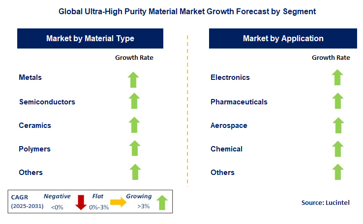 Ultra-High Purity Material Market by Segment