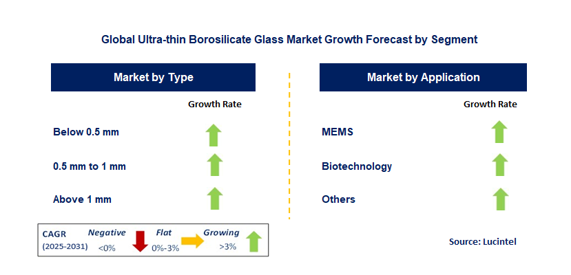 Ultra-thin Borosilicate Glass Market by Segment