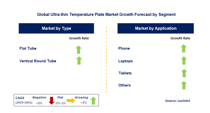 Ultra-thin Temperature Plate Market by Segment