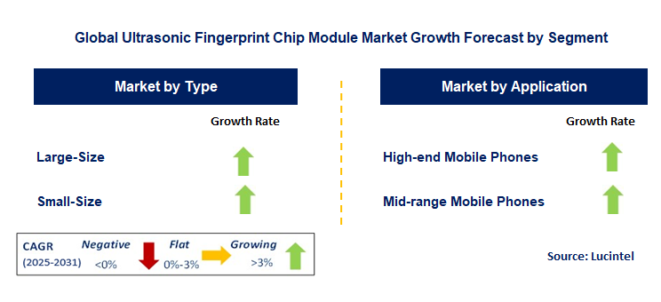 Ultrasonic Fingerprint Chip Module Market by Segment