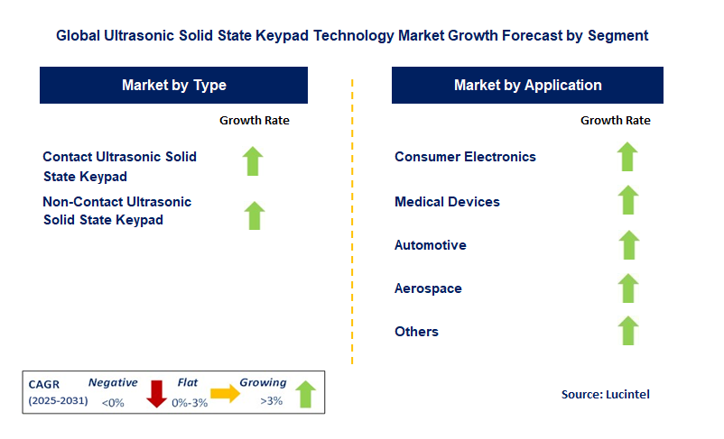 Ultrasonic Solid State Keypad Technology Market by Segment