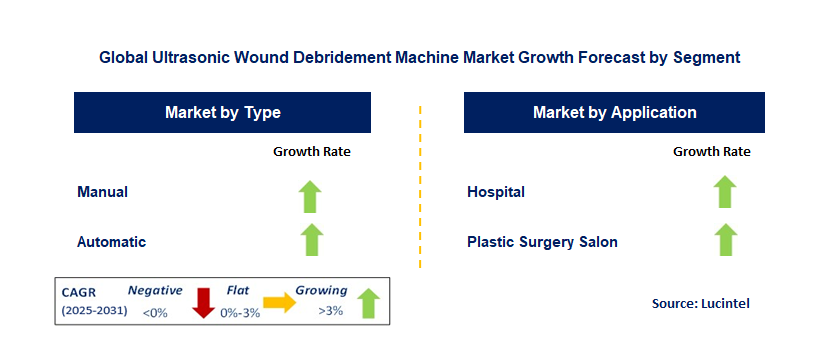 Ultrasonic Wound Debridement Machine Market by Segment