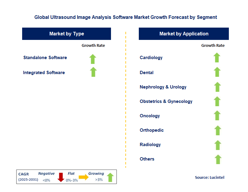 Ultrasound Image Analysis Software Market by Segment