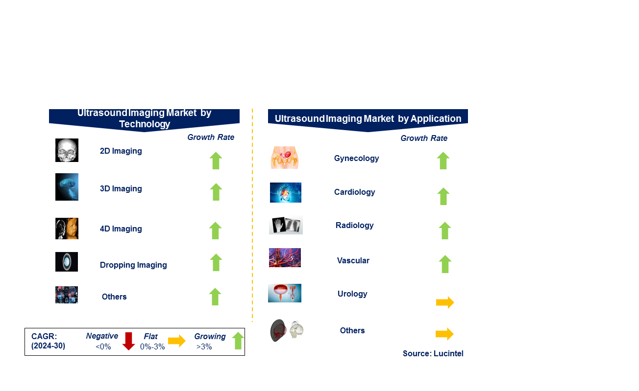 Ultrasound Imaging Market by Segments