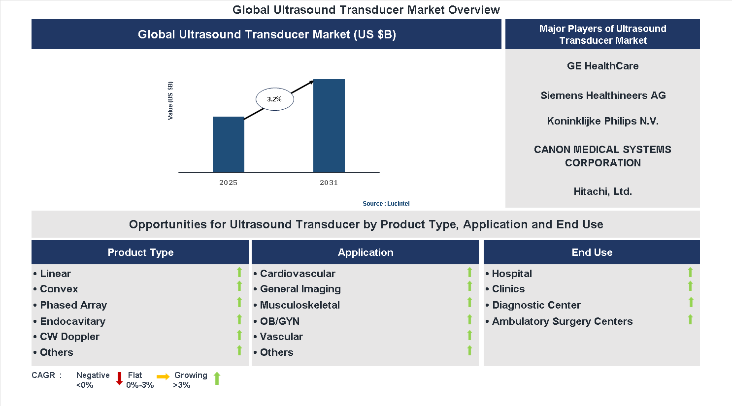 Ultrasound Transducer Market Trends and Forecast