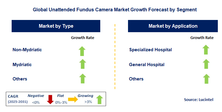 Unattended Fundus Camera Market by Segment