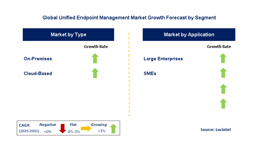 Unified Endpoint Management Market by Segment