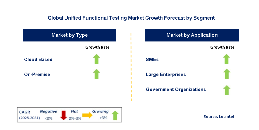 Unified Functional Testing Market by Segment