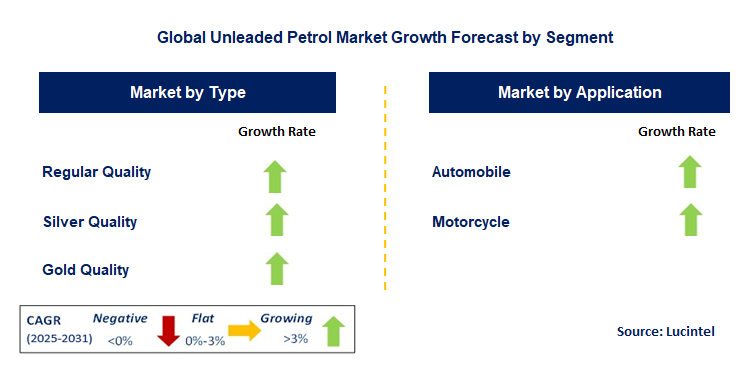 Unleaded Petrol Market by Segment