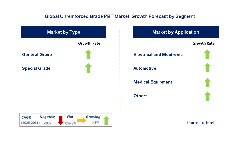 Unreinforced Grade PBT Market by Segment