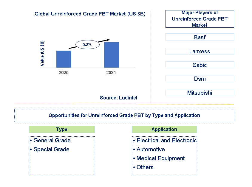 Unreinforced Grade PBT Market Trends and Forecast