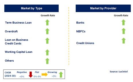 Unsecured Business Loans by Segment