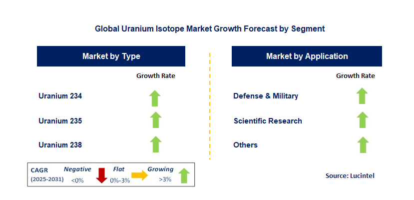 Uranium Isotope Market by Segment