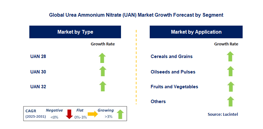 Urea Ammonium Nitrate (UAN) Market by Segment