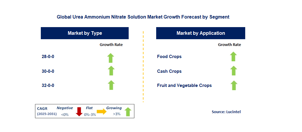 Urea Ammonium Nitrate Solution Market by Segment