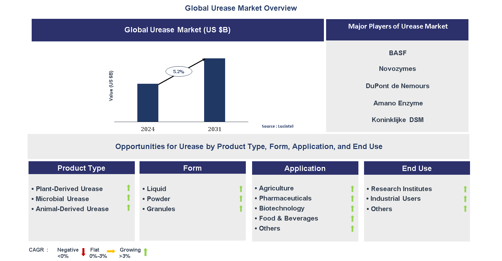 Urease Market Trends and Forecast