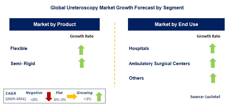 Ureteroscopy Market by Segment