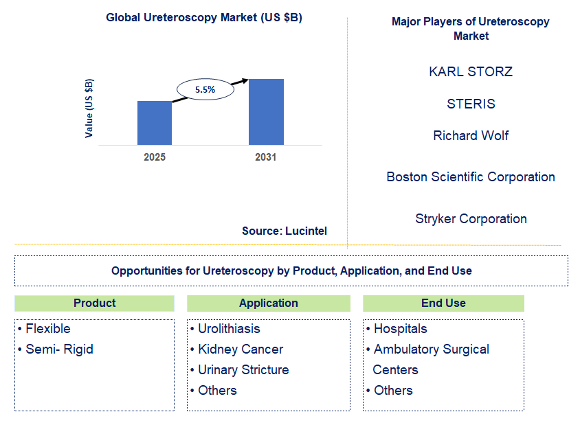 Ureteroscopy Market Trends and Forecast