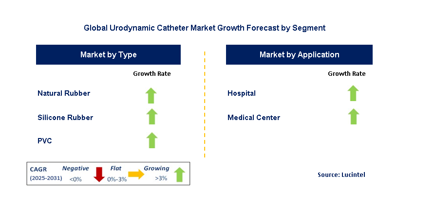 Urodynamic Catheter Market by Segment