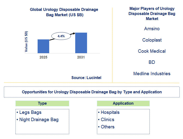 Urology Disposable Drainage Bag Market Trends and Forecast
