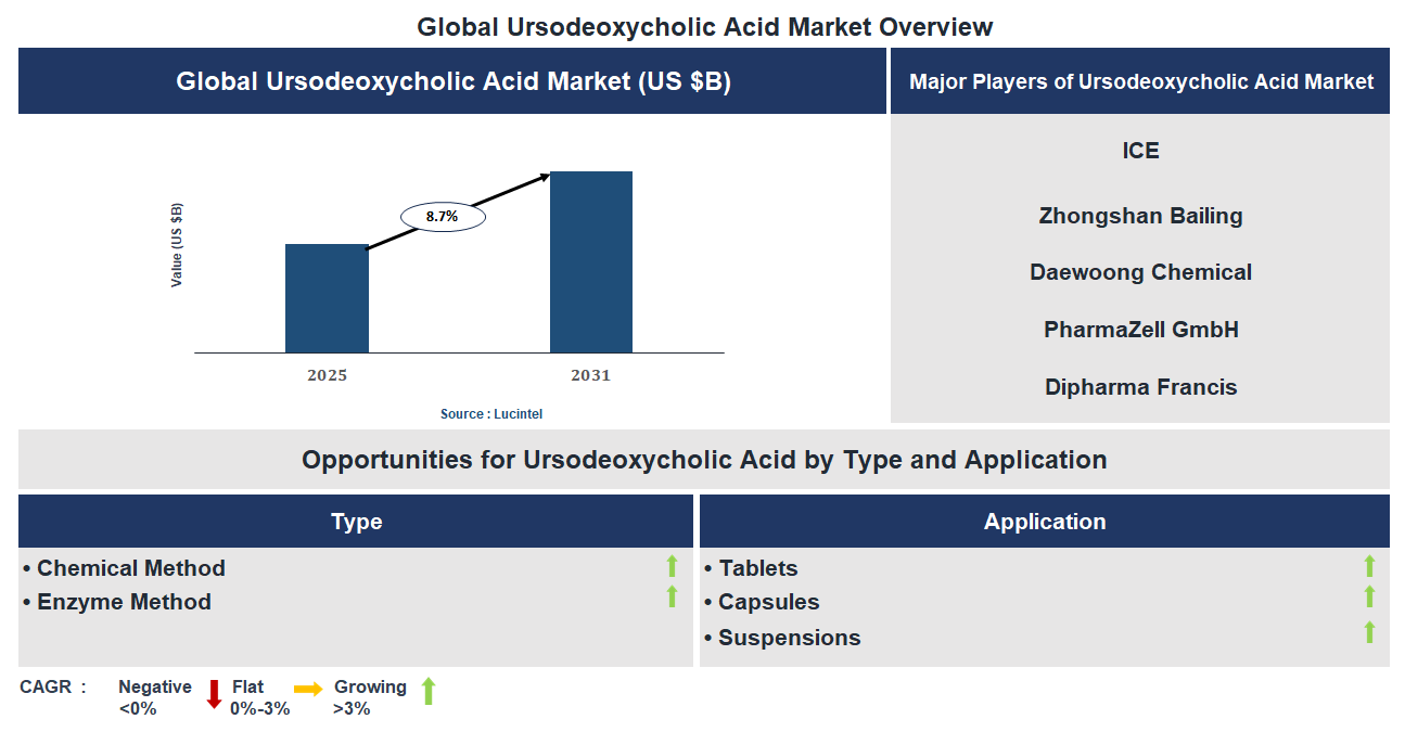 Ursodeoxycholic Acid Market Trends and Forecast