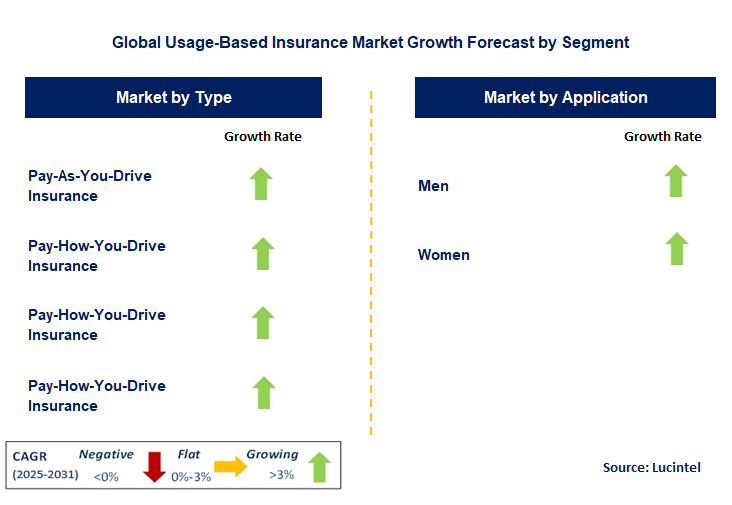 Usage-Based Insurance Market by Segment