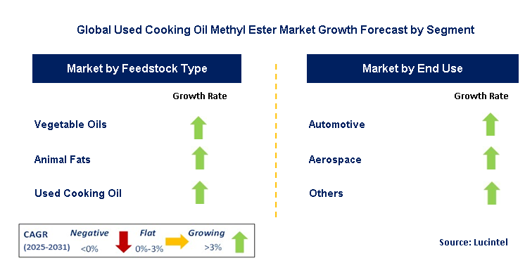 Used Cooking Oil Methyl Ester Market by Segment