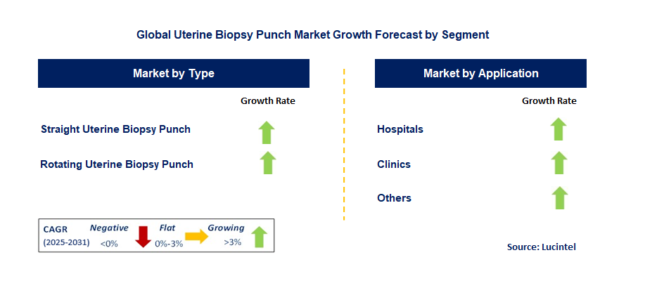 Uterine Biopsy Punch Market by Segment