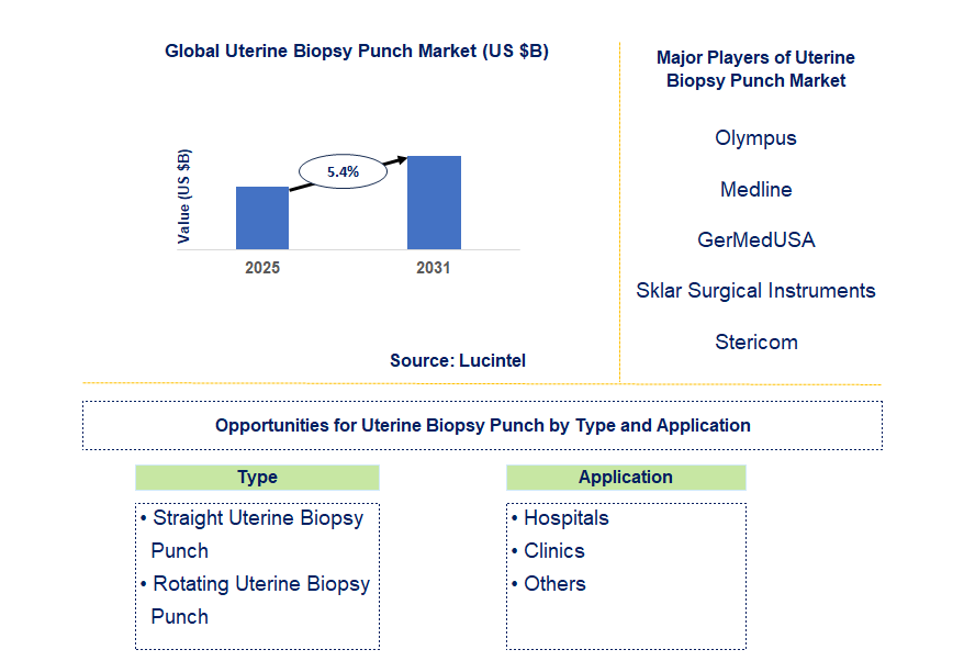 Uterine Biopsy Punch Market Trends and Forecast