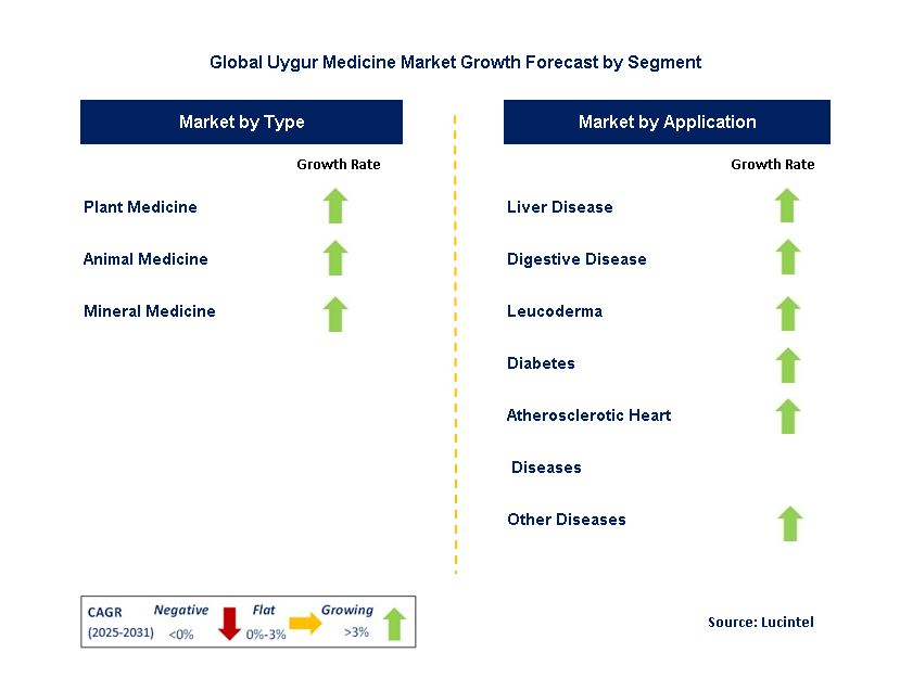 Uygur Medicine Market by Segment