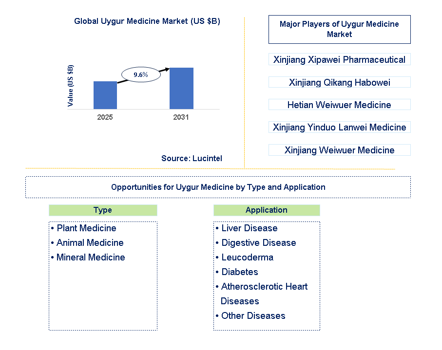 Uygur Medicine Market Trends and Forecast