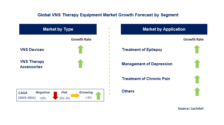 VNS Therapy Equipment Market by Segment