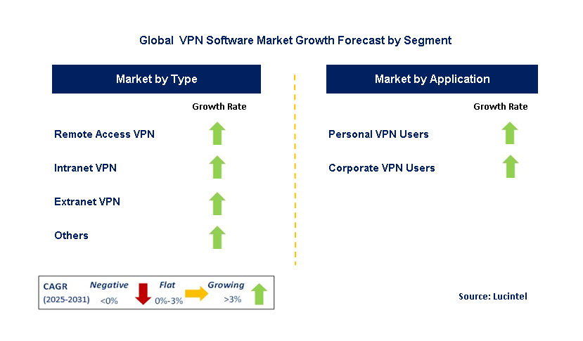  VPN Software Market by Segment