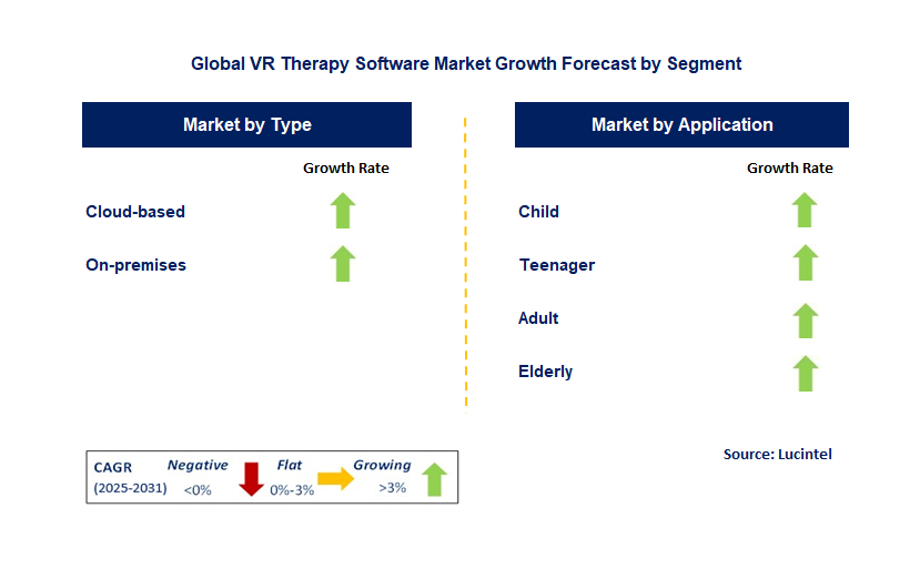 VR Therapy Software Market by Segment