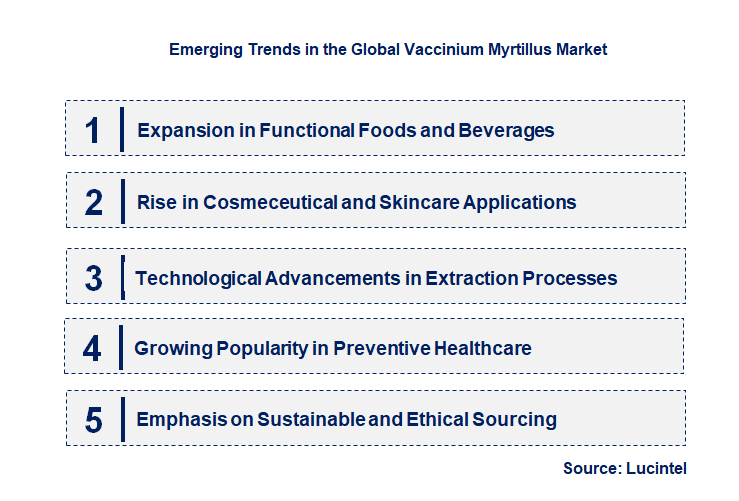 Emerging Trends in the Vaccinium Myrtillus Market