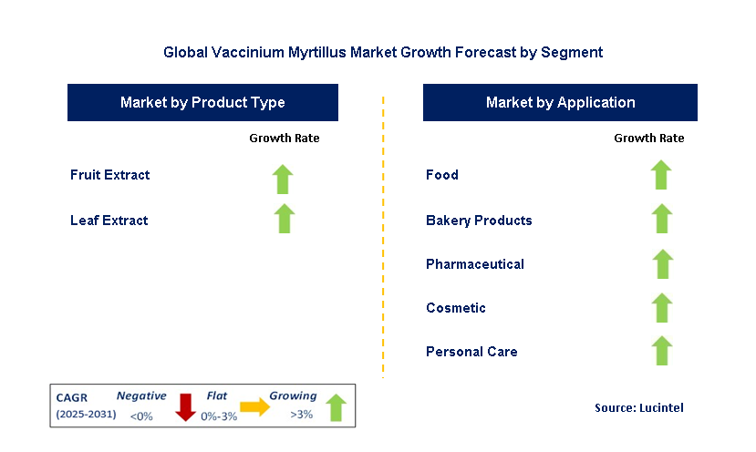 Vaccinium Myrtillus Market by Segment