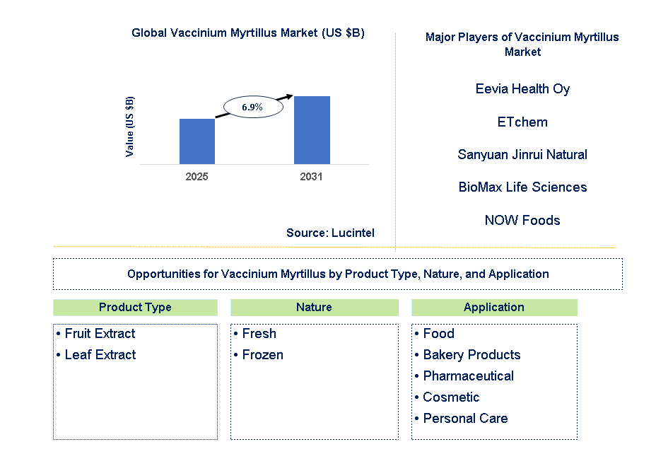 Vaccinium Myrtillus Market Trends and Forecast