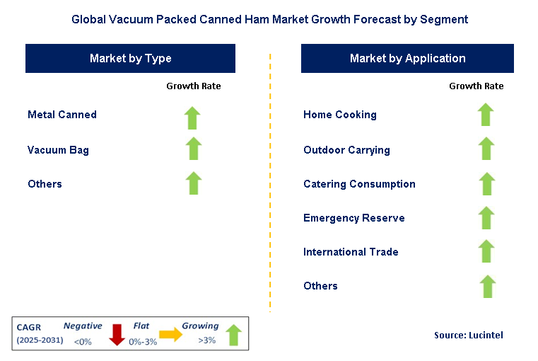 Vacuum Packed Canned Ham Market by Segment